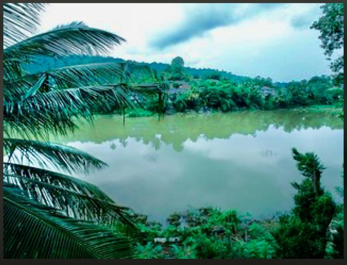 Amanzi Residence Kandy Exterior foto